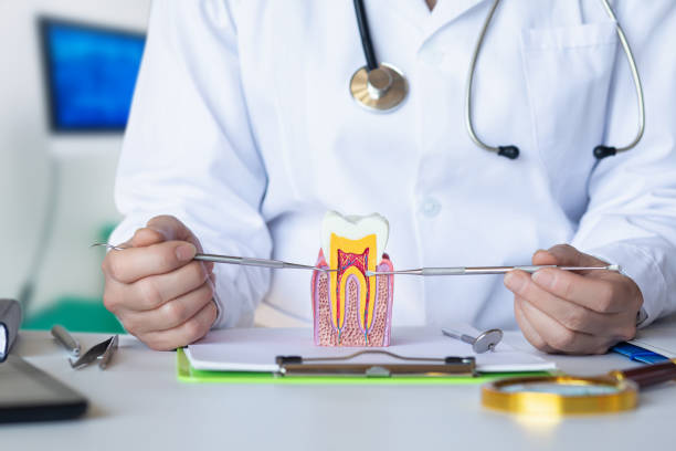 Best Pediatric Emergency Dentist in Jones Valley, CA